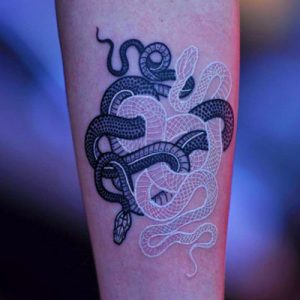 Which Tattoo Ink Is Worth the Money?